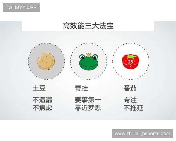 高效棒球训练营的设计与运营策略